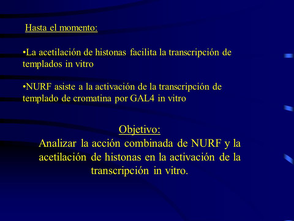 Hasta el momento: La acetilación de histonas facilita la transcripción de templados in vitro.