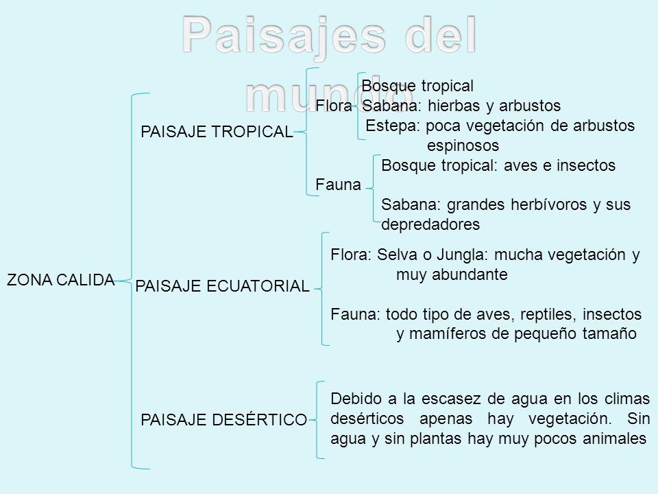 Paisajes del mundo Bosque tropical Flora Sabana: hierbas y arbustos