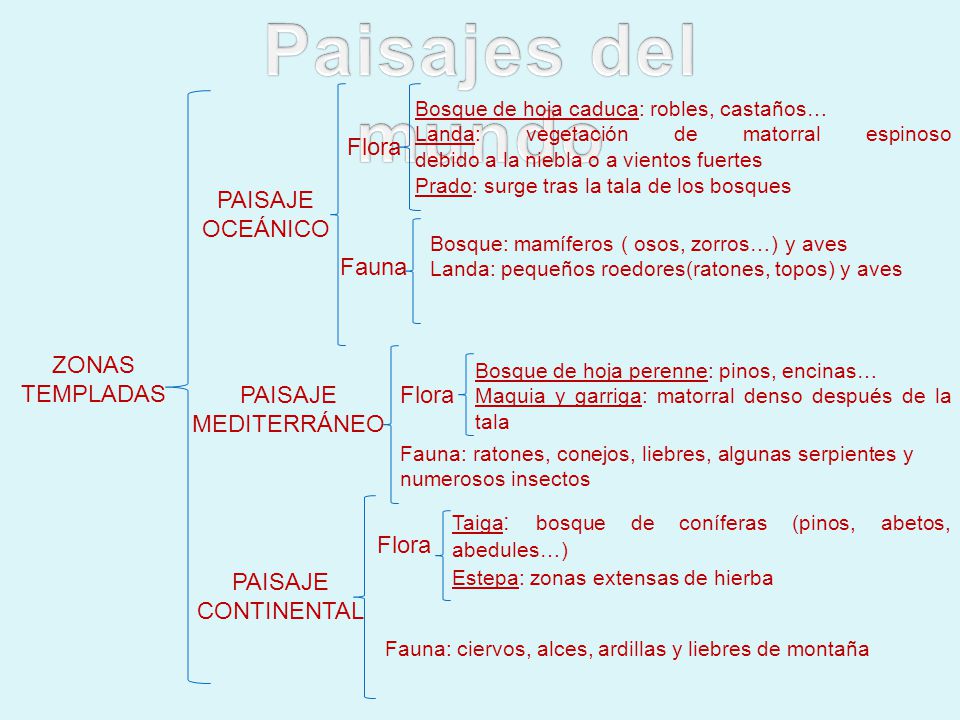 Paisajes del mundo Flora PAISAJE OCEÁNICO Fauna ZONAS TEMPLADAS