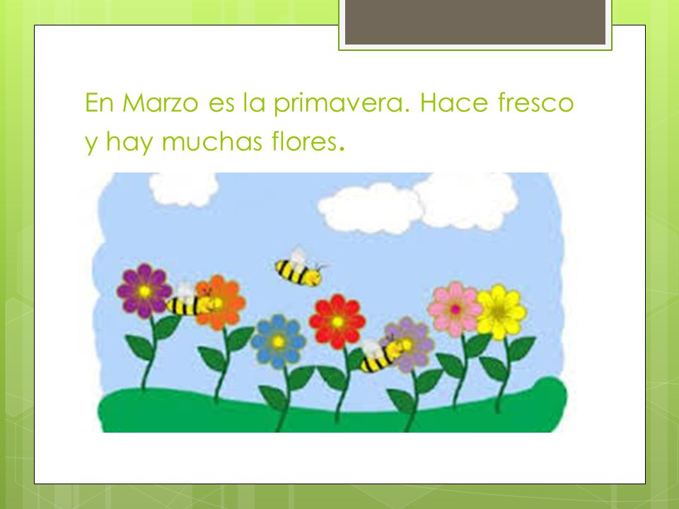 En Marzo es la primavera. Hace fresco y hay muchas flores.