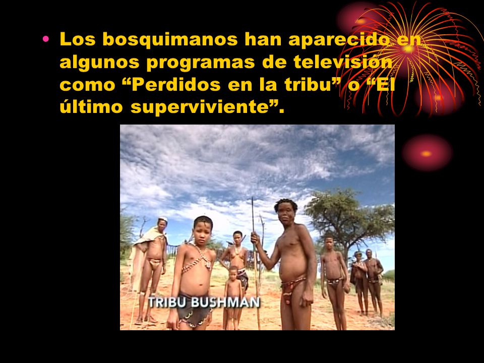 Los bosquimanos han aparecido en algunos programas de televisión como Perdidos en la tribu o El último superviviente .