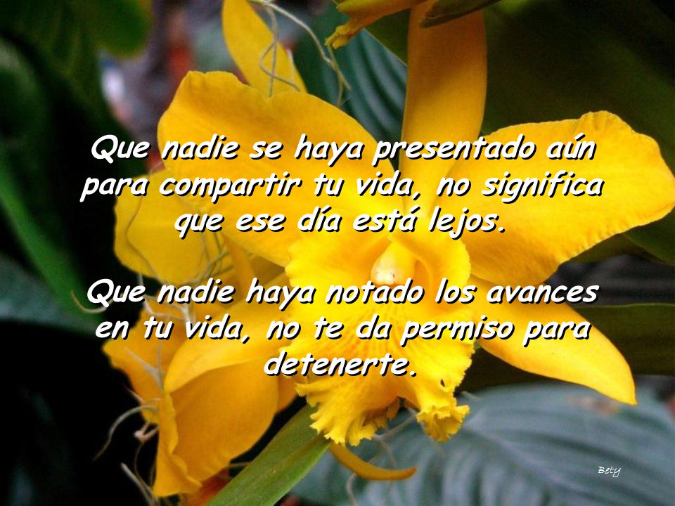 Que nadie se haya presentado aún para compartir tu vida, no significa que ese día está lejos.