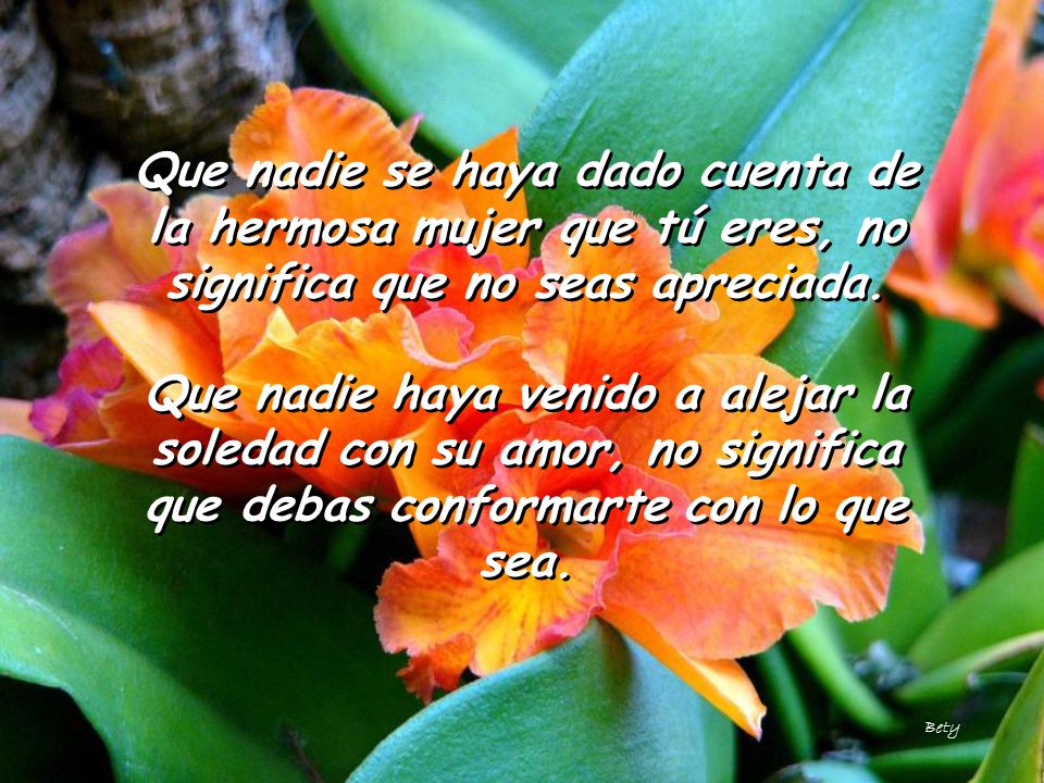 Que nadie se haya dado cuenta de la hermosa mujer que tú eres, no significa que no seas apreciada.
