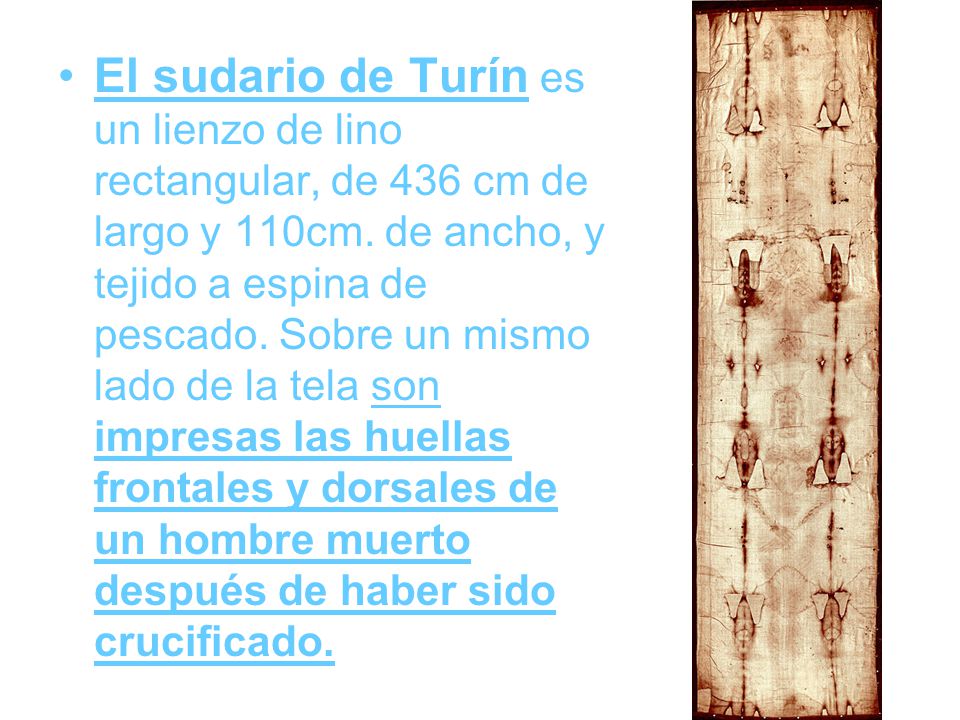 El sudario de Turín es un lienzo de lino rectangular, de 436 cm de largo y 110cm.