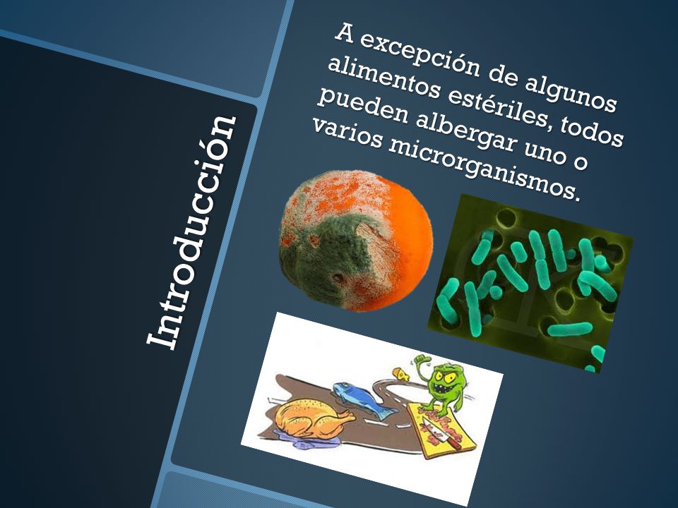 A excepción de algunos alimentos estériles, todos pueden albergar uno o varios microrganismos.