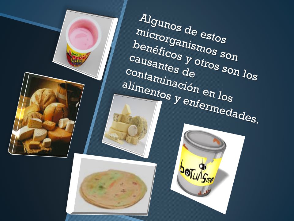 Algunos de estos microrganismos son benéficos y otros son los causantes de contaminación en los alimentos y enfermedades.