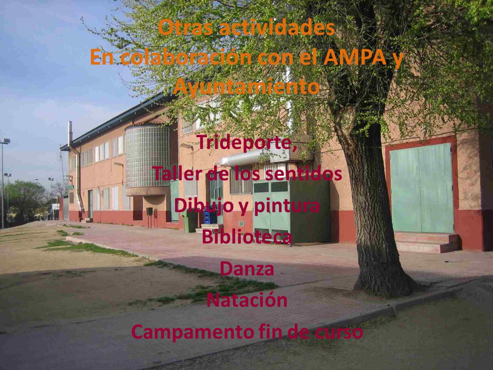 Otras actividades En colaboración con el AMPA y Ayuntamiento