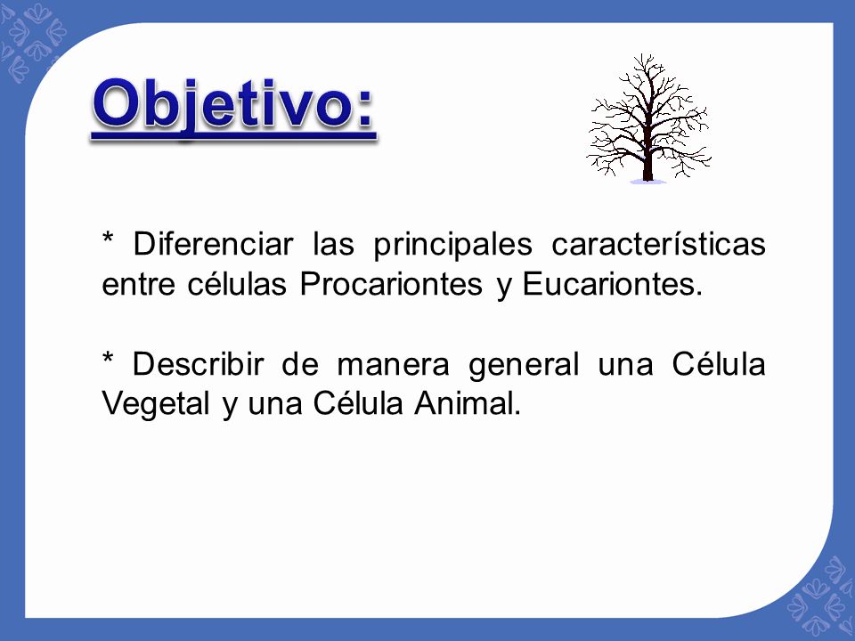 Objetivo: * Diferenciar las principales características entre células Procariontes y Eucariontes.
