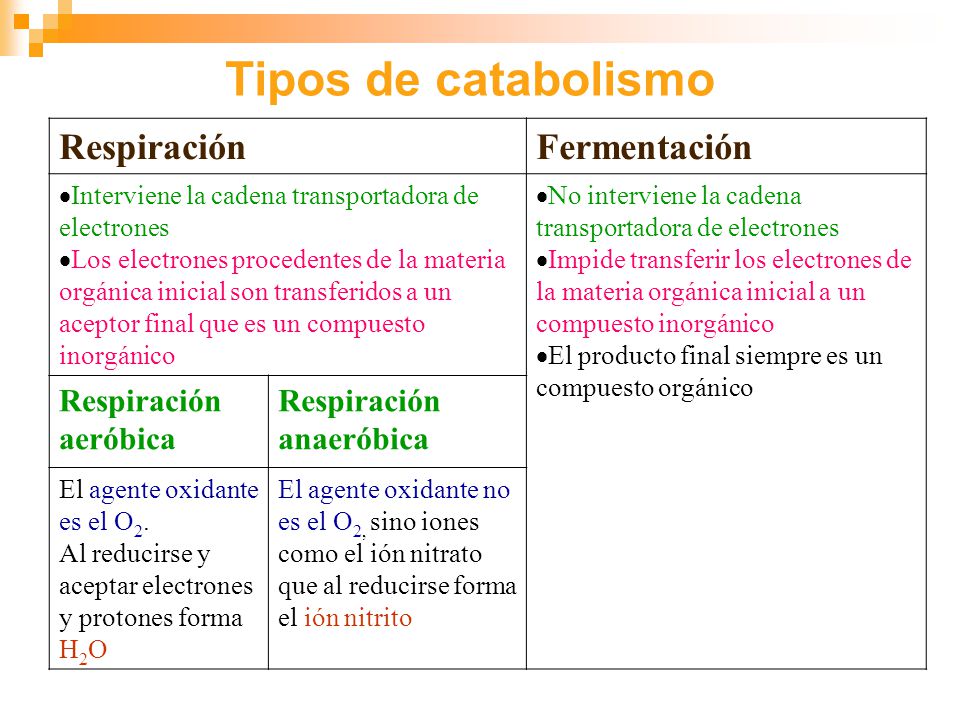 Tipos de catabolismo Respiración Fermentación Respiración aeróbica