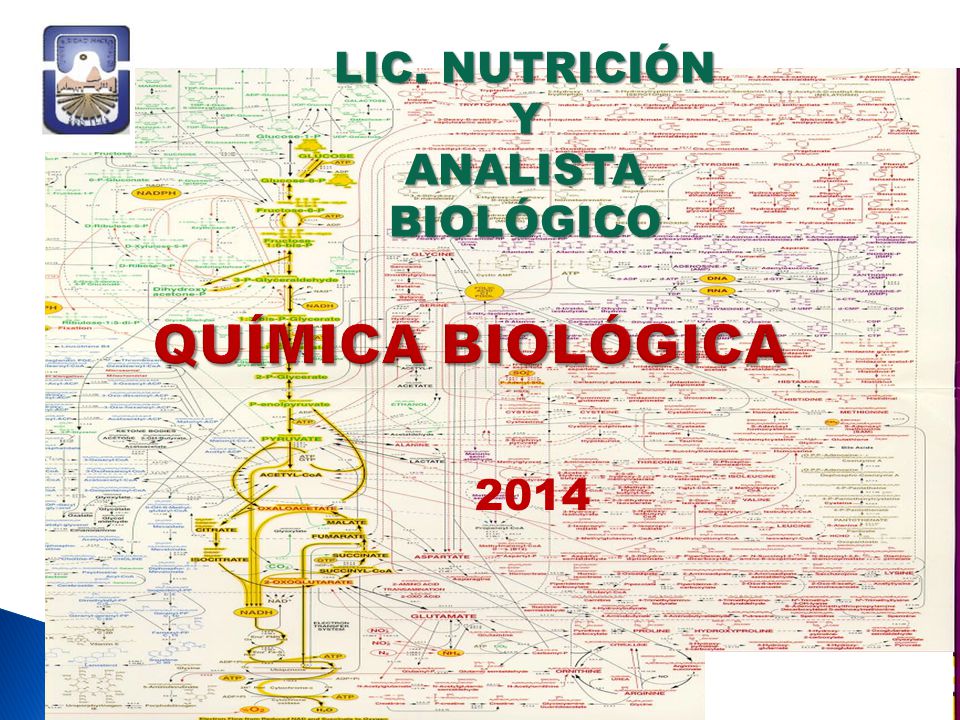 LIC. NUTRICIÓN Y ANALISTA BIOLÓGICO QUÍMICA BIOLÓGICA 2014