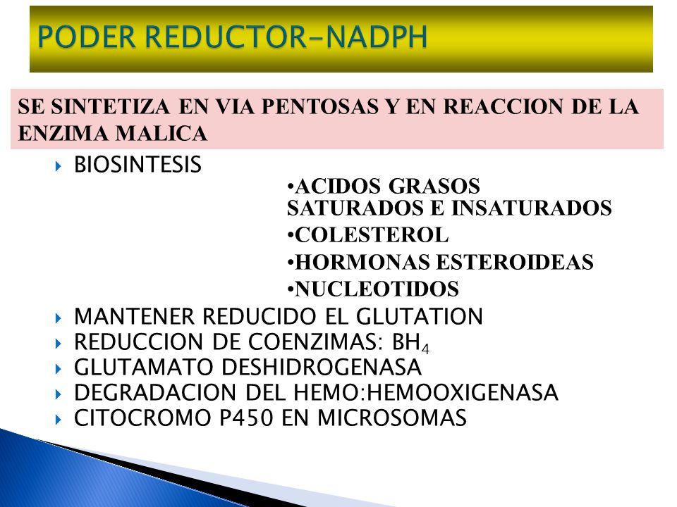 PODER REDUCTOR-NADPH SE SINTETIZA EN VIA PENTOSAS Y EN REACCION DE LA ENZIMA MALICA. BIOSINTESIS. MANTENER REDUCIDO EL GLUTATION.