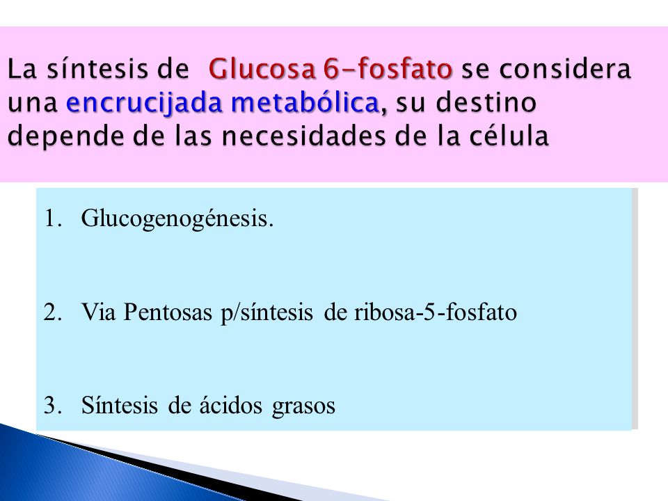 La síntesis de Glucosa 6-fosfato se considera una encrucijada metabólica, su destino depende de las necesidades de la célula