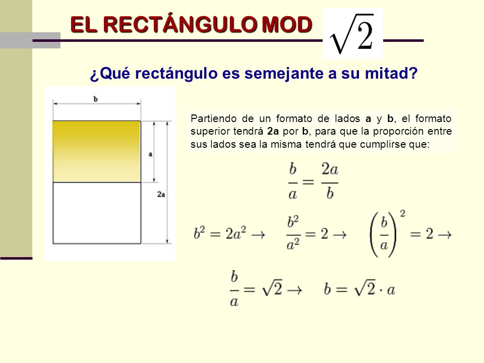 EL RECTÁNGULO MOD ¿Qué rectángulo es semejante a su mitad