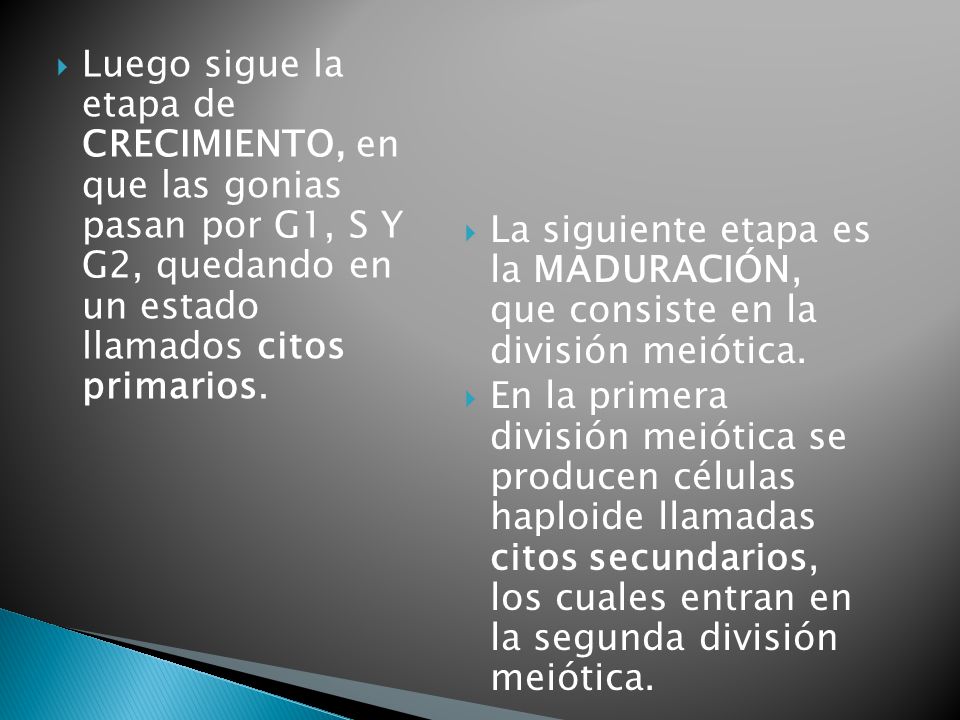 Luego sigue la etapa de CRECIMIENTO, en que las gonias pasan por G1, S Y G2, quedando en un estado llamados citos primarios.