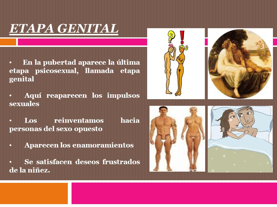ETAPA GENITAL En la pubertad aparece la última etapa psicosexual, llamada etapa genital. Aquí reaparecen los impulsos sexuales.