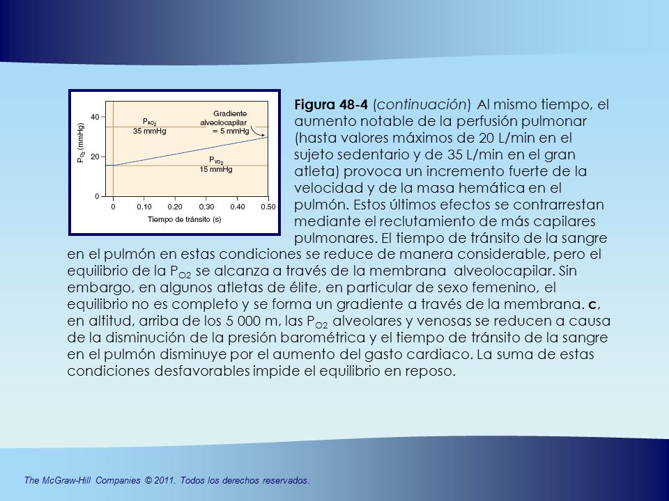 Figura 48-4 (continuación) Al mismo tiempo, el aumento notable de la perfusión pulmonar (hasta valores máximos de 20 L/min en el sujeto sedentario y de 35 L/min en el gran atleta) provoca un incremento fuerte de la velocidad y de la masa hemática en el pulmón. Estos últimos efectos se contrarrestan mediante el reclutamiento de más capilares pulmonares. El tiempo de tránsito de la sangre