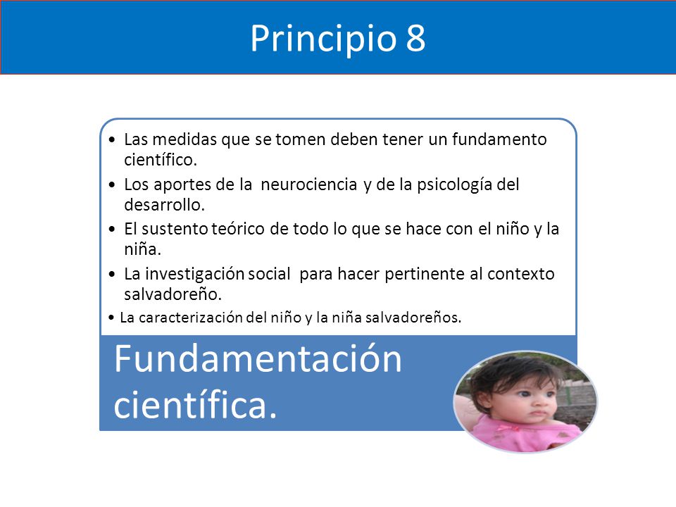 Principio 8 Fundamentación científica. Las medidas que se tomen deben tener un fundamento científico.