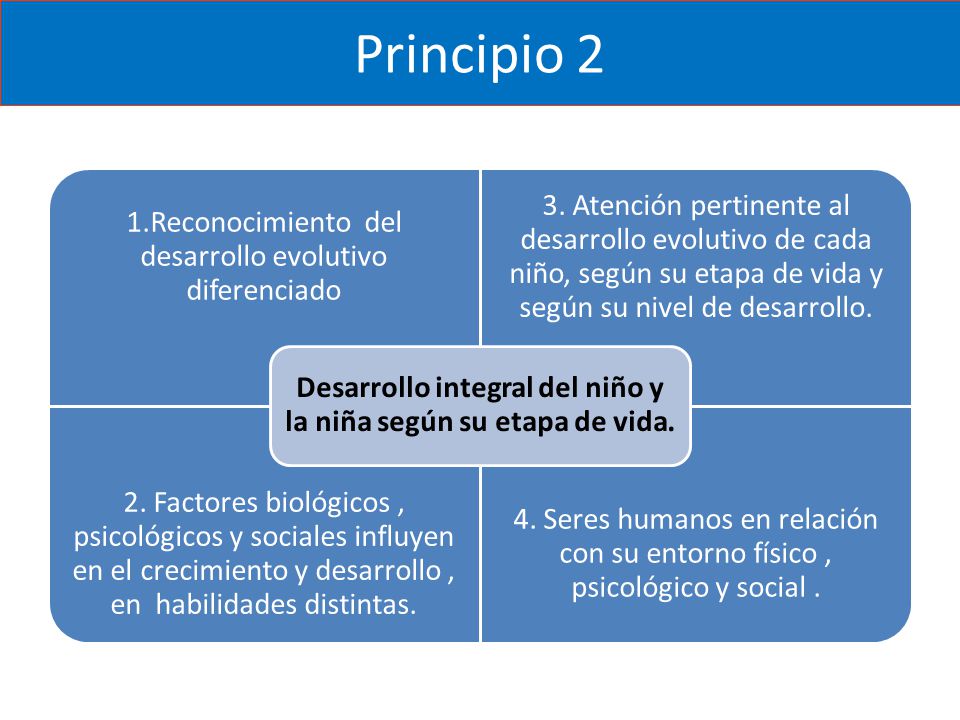 Desarrollo integral del niño y la niña según su etapa de vida.