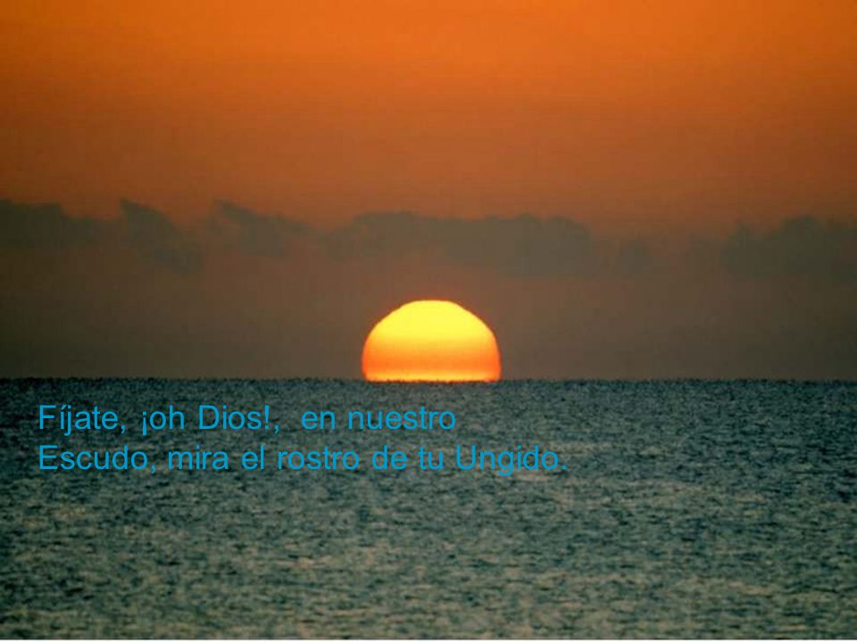 Fíjate, ¡oh Dios!, en nuestro Escudo, mira el rostro de tu Ungido.