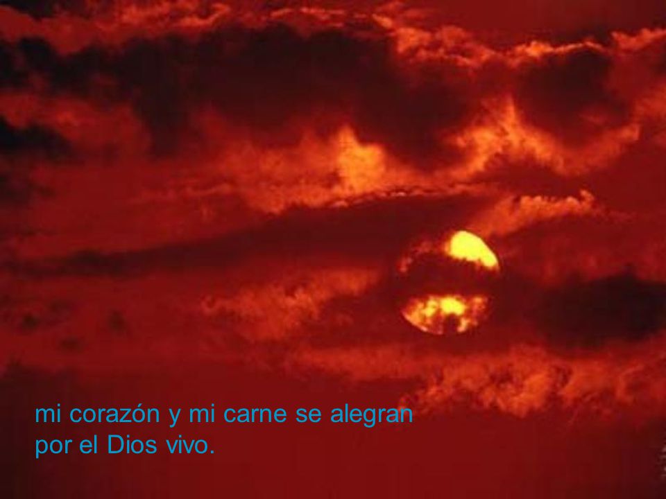 mi corazón y mi carne se alegran por el Dios vivo.