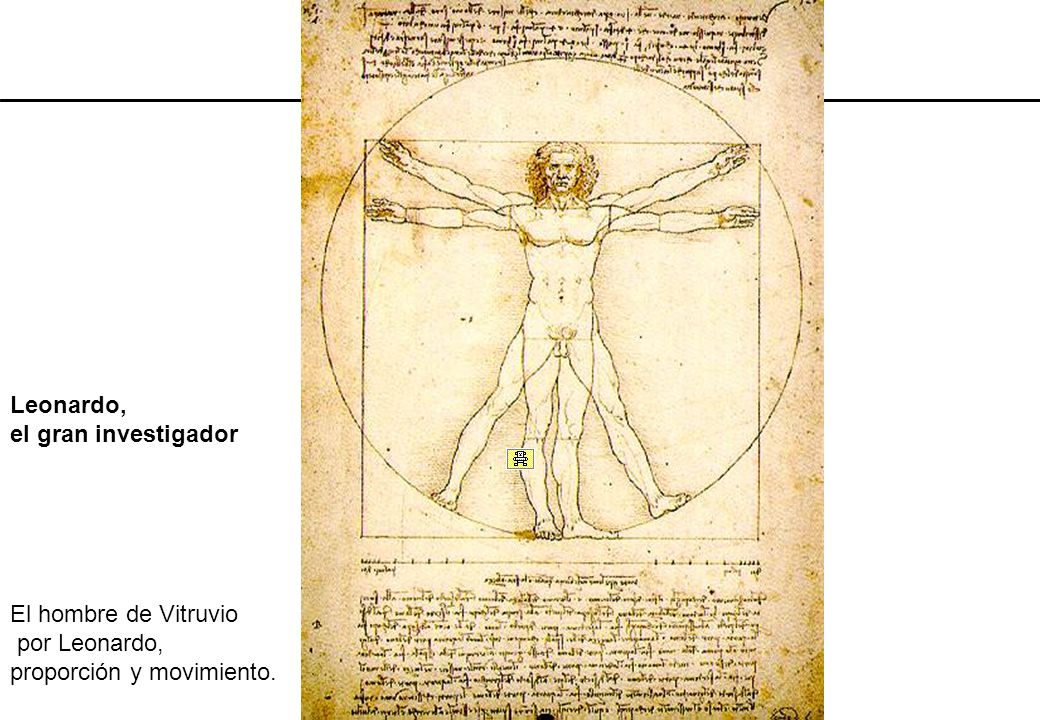 Leonardo, el gran investigador El hombre de Vitruvio por Leonardo, proporción y movimiento.