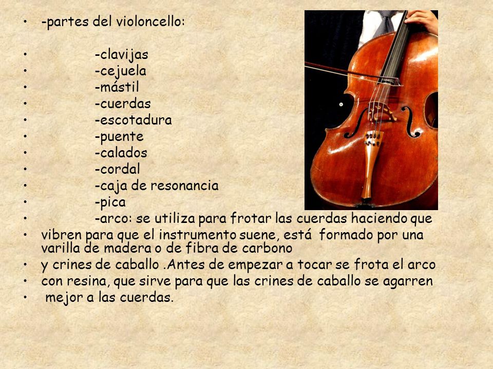El violoncello Cecilia Ferraz 3º ESO. - ppt descargar