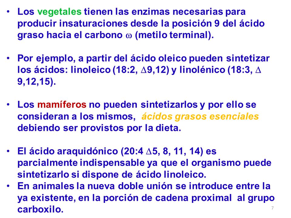 Los vegetales tienen las enzimas necesarias para producir insaturaciones desde la posición 9 del ácido graso hacia el carbono w (metilo terminal).