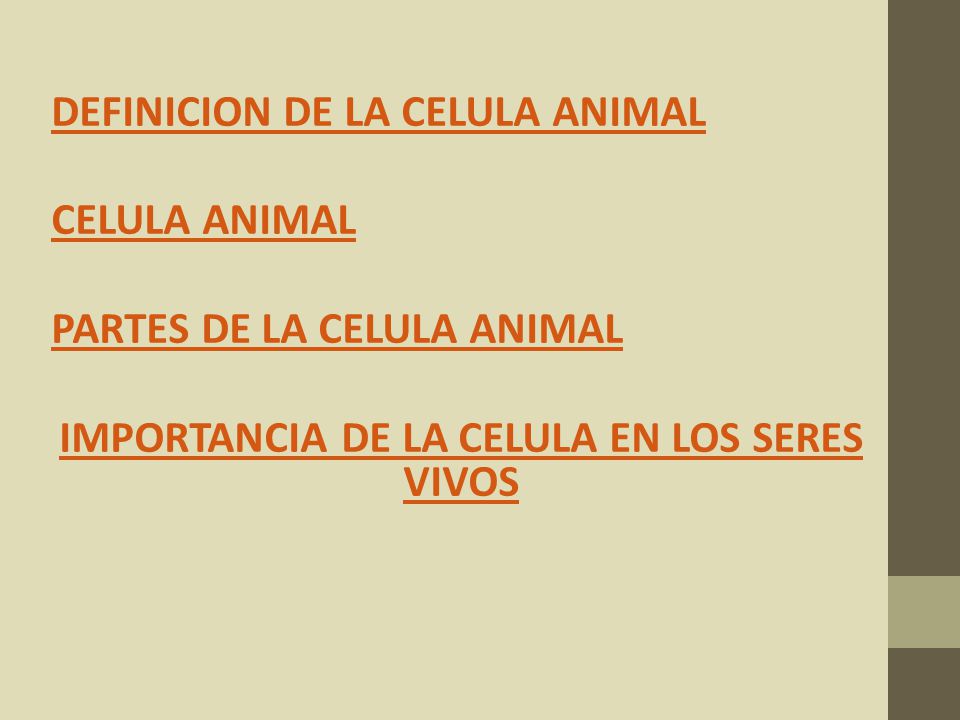 IMPORTANCIA DE LA CELULA EN LOS SERES VIVOS