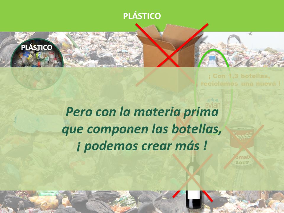 PLÁSTICO ¡ Con 14 botellas, Reciclamos : PLÁSTICO. ¡ Con 1,3 botellas, reciclamos una nueva ! ¡ Con 12 botellas,