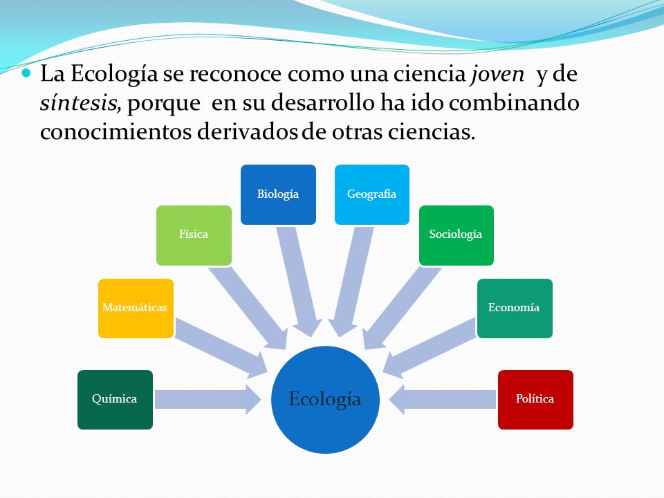 La Ecología se reconoce como una ciencia joven y de síntesis, porque en su desarrollo ha ido combinando conocimientos derivados de otras ciencias.