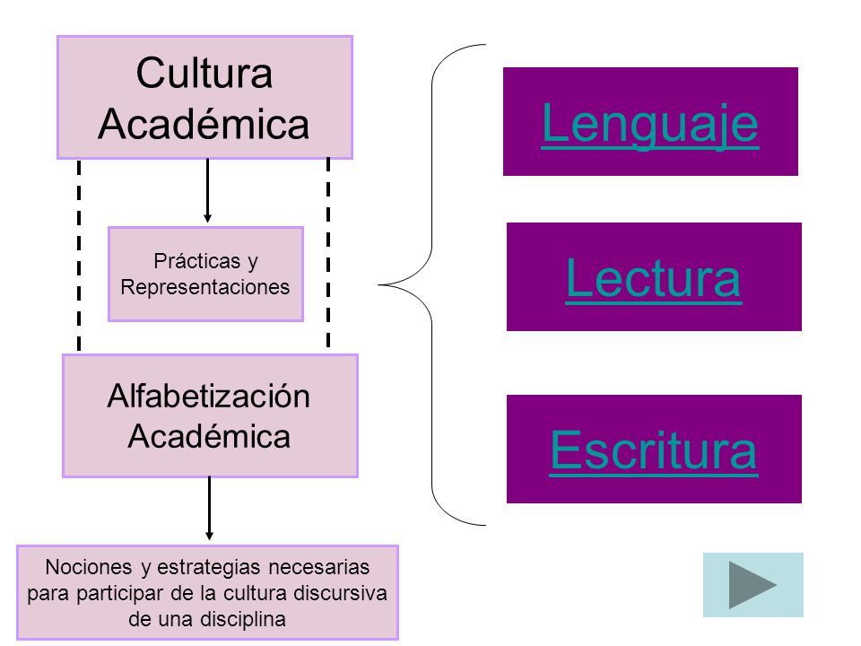 Lenguaje Lectura Escritura Cultura Académica Alfabetización Académica