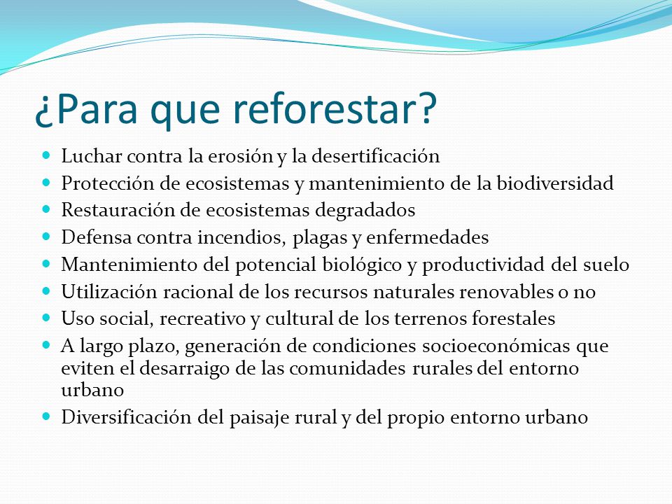 ¿Para que reforestar Luchar contra la erosión y la desertificación
