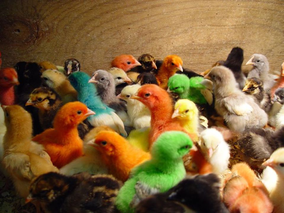 We hope you can soon discover how we are alike and different in our world!