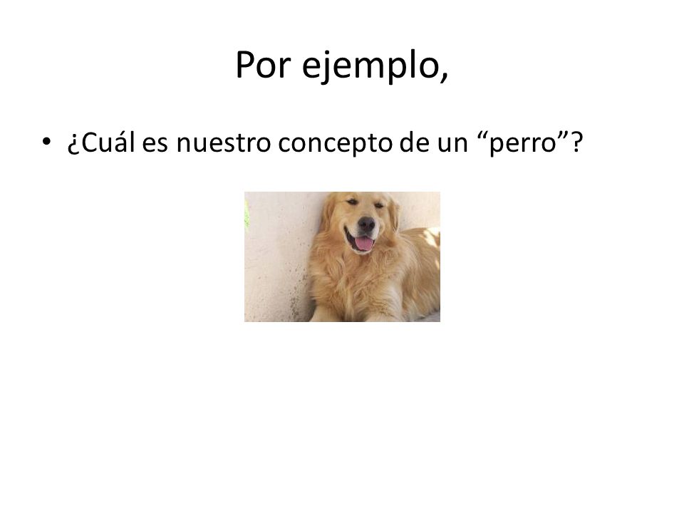 Por ejemplo, ¿Cuál es nuestro concepto de un perro