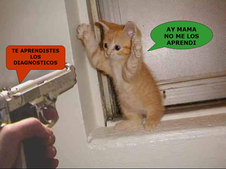 AY MAMA NO ME LOS APRENDI TE APRENDISTES LOS DIAGNOSTICOS