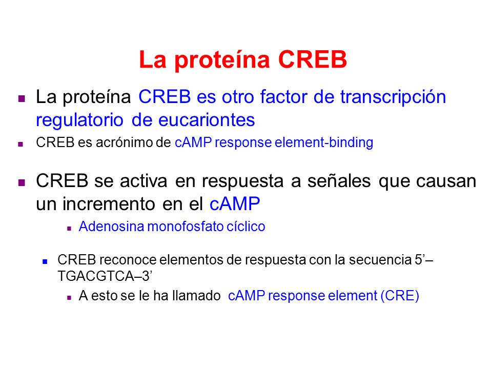 La proteína CREB La proteína CREB es otro factor de transcripción regulatorio de eucariontes. CREB es acrónimo de cAMP response element-binding.