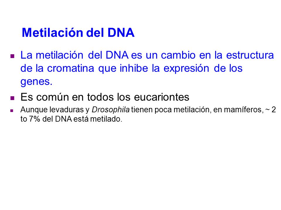 Metilación del DNA La metilación del DNA es un cambio en la estructura de la cromatina que inhibe la expresión de los genes.