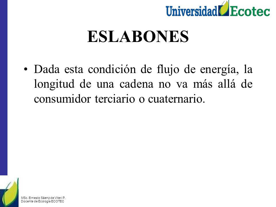 ESLABONES Dada esta condición de flujo de energía, la longitud de una cadena no va más allá de consumidor terciario o cuaternario.