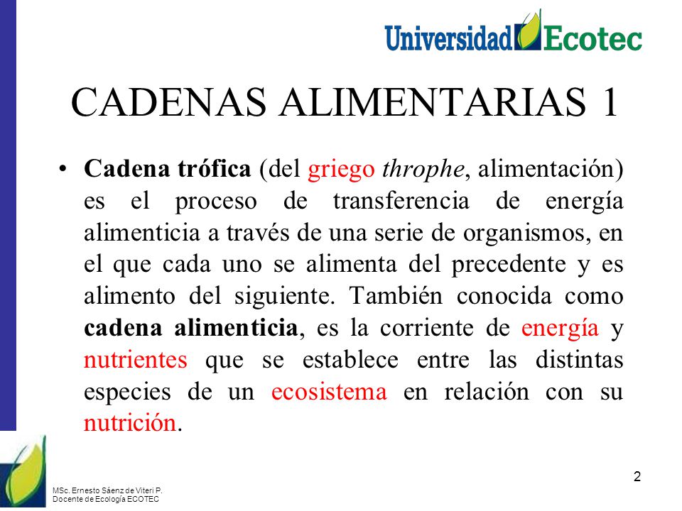 CADENAS ALIMENTARIAS 1