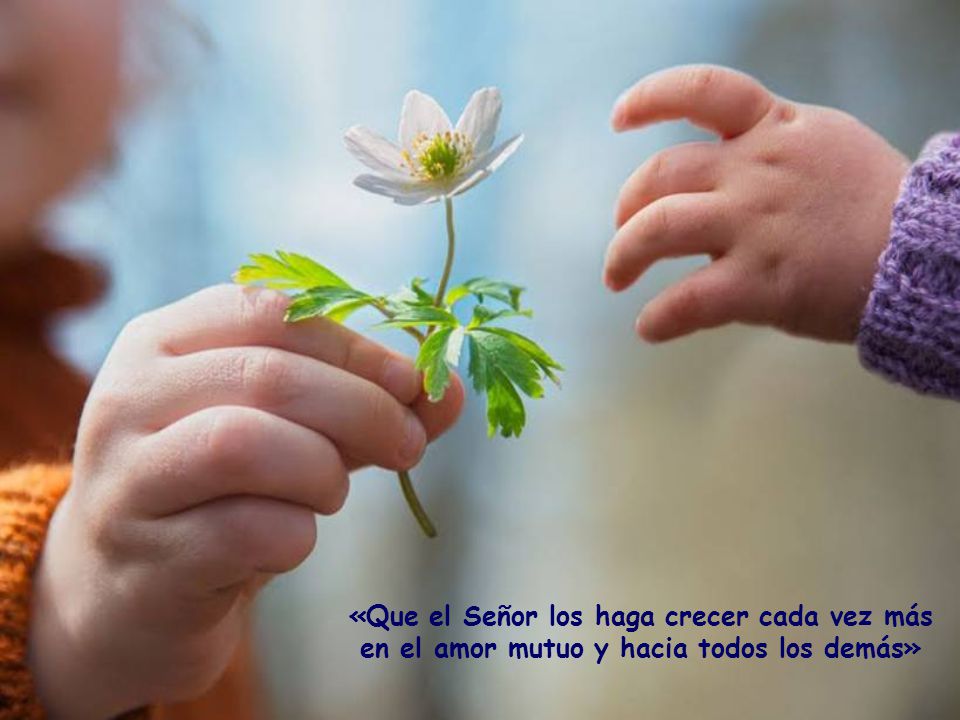 «Que el Señor los haga crecer cada vez más