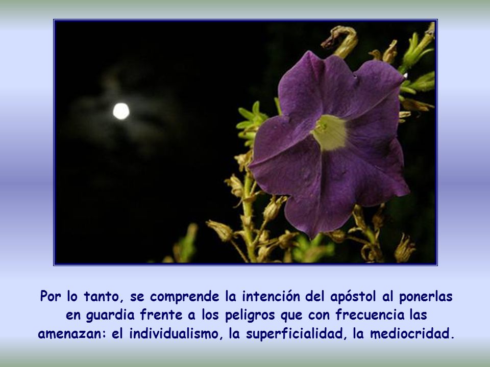 Por lo tanto, se comprende la intención del apóstol al ponerlas en guardia frente a los peligros que con frecuencia las amenazan: el individualismo, la superficialidad, la mediocridad.
