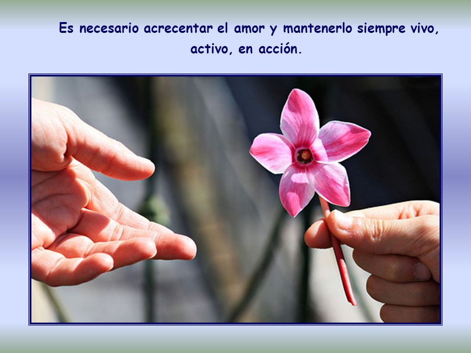 Es necesario acrecentar el amor y mantenerlo siempre vivo, activo, en acción.