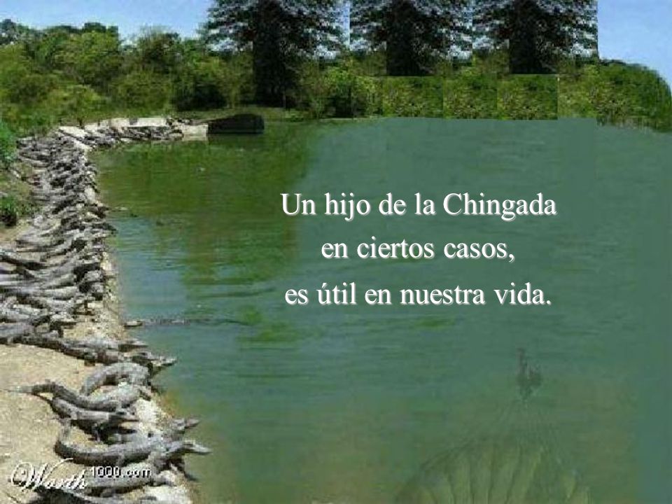 Un hijo de la Chingada en ciertos casos, es útil en nuestra vida.