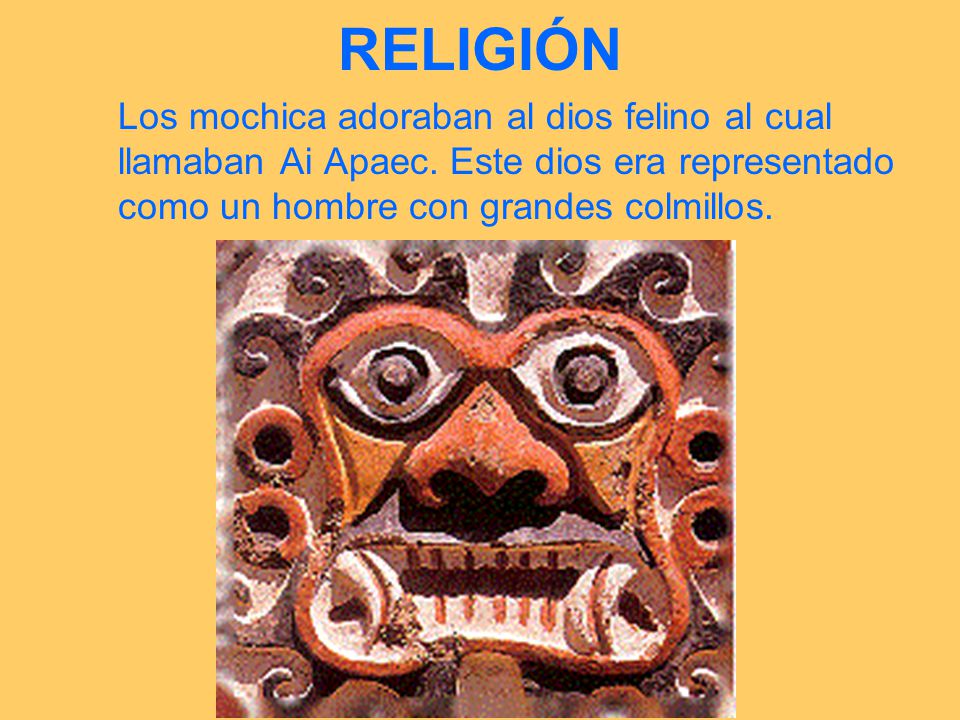 RELIGIÓN Los mochica adoraban al dios felino al cual llamaban Ai Apaec.
