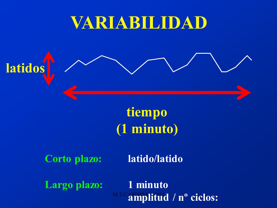 VARIABILIDAD latidos tiempo (1 minuto) Corto plazo: latido/latido