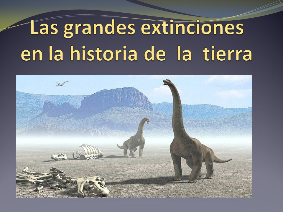 Las grandes extinciones en la historia de la tierra
