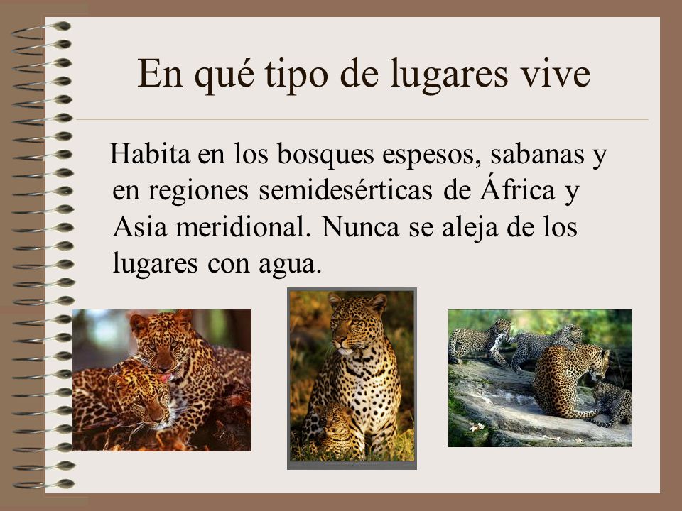 En qué tipo de lugares vive