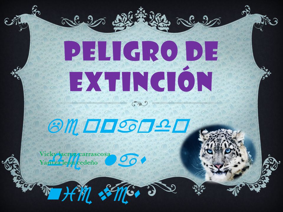 Peligro de extinción Leopardo de las nieves Vicky lacruz carrascosa
