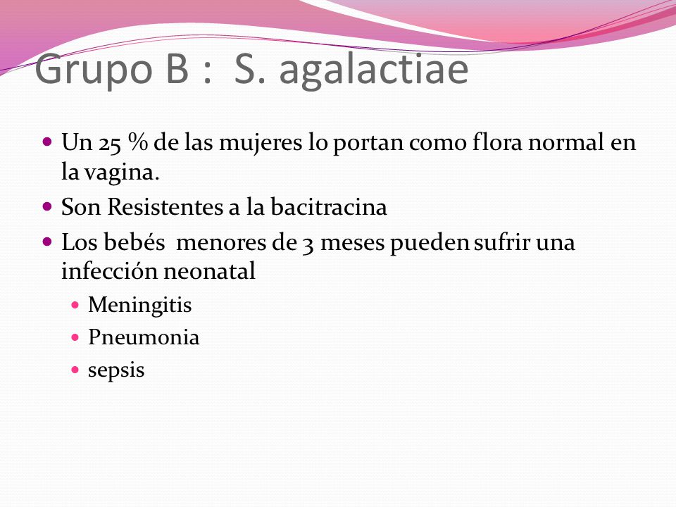 Grupo B : S. agalactiae Un 25 % de las mujeres lo portan como flora normal en la vagina. Son Resistentes a la bacitracina.