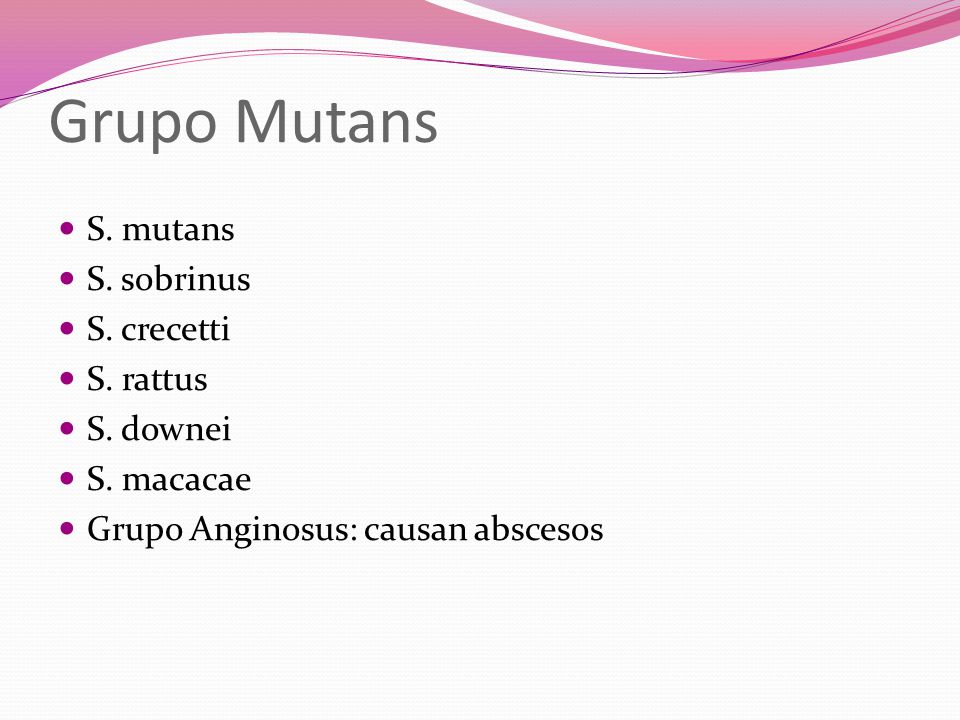 Grupo Mutans S. mutans S. sobrinus S. crecetti S. rattus S. downei